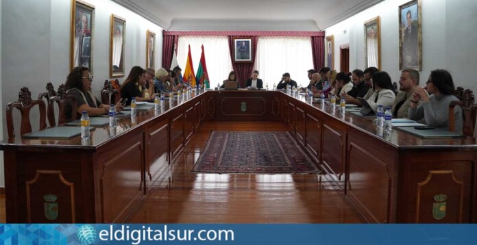 Pleno extraordinario del Ayuntamiento de Arona