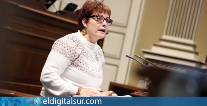 Candelaria Delgado, titular de Bienestar Social, durante su intervención parlamentaria