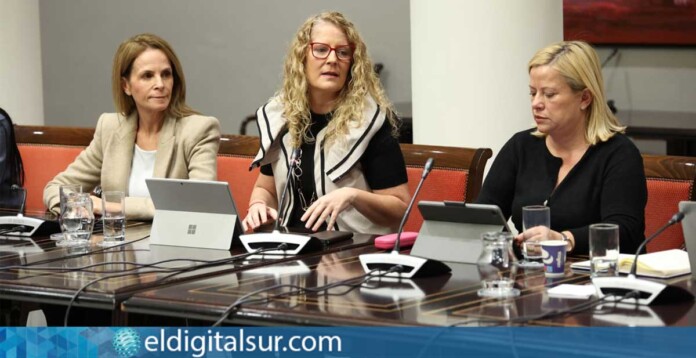 Diputadas del Grupo Parlamentario Popular Luz Reverón, Raquel Díaz y Mónica Muñoz
