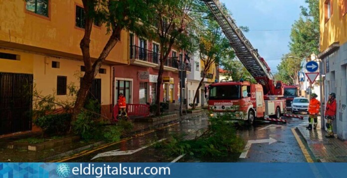 Bomberos de Tenerife