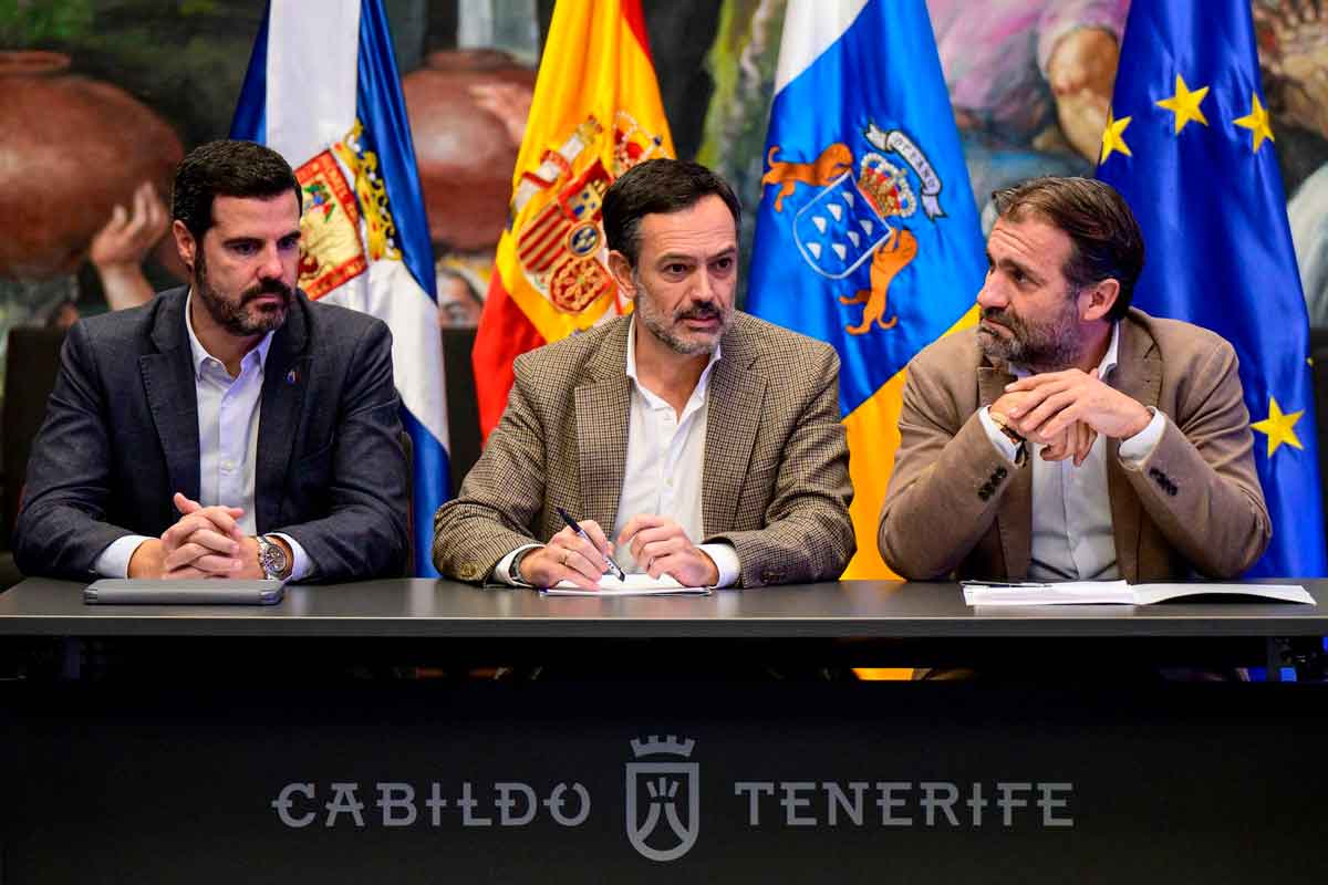El vicepresidente del Cabildo de Tenerife, Lope Afonso, junto a representantes de las siete empresas tinerfeñas distinguidas con el sello CEPYME500 2025, durante el encuentro celebrado en el Salón Noble de la Corporación insular / EDS
