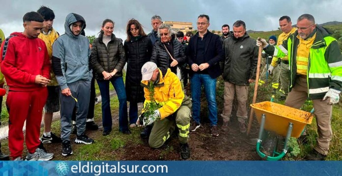 Voluntarios y alumnos participan en la primera plantación del proyecto “Renatura Monte de Las Mesas”