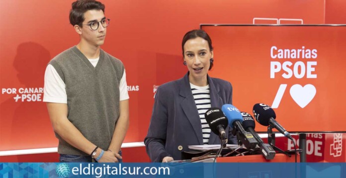 Nira Fierro, secretaria de Organización del PSOE Canarias, durante la rueda de prensa