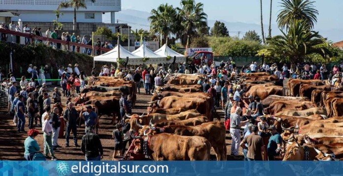 Feria Ganadera de Tacoronte
