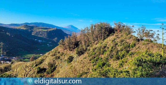 Tegueste presenta la nueva edición del programa "Rutas Guiadas de Turismo y Medio Ambiente 2026"