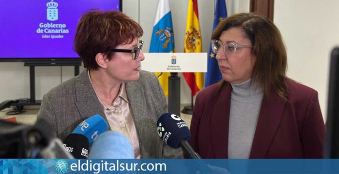 Representantes del Gobierno de Canarias durante la comparecencia para informar sobre la situación de los menores migrantes y los traslados a la Península