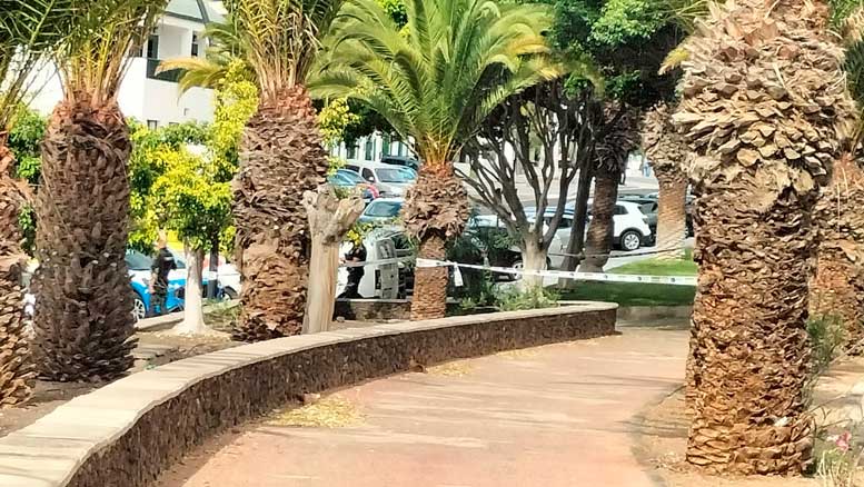 Agentes establecen un perímetro de seguridad en la vía mientras se atiende la emergencia. / Foto: Mercedes Menendez