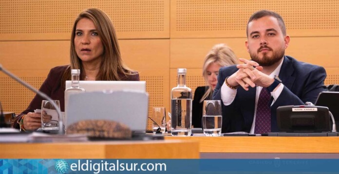 Ana Salazar y Naím Yánez Alonso (VOX) durante el Pleno del Cabildo de Tenerife