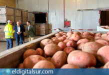 El consejero Valentín González visita el complejo agrícola de Benijos, en La Orotava