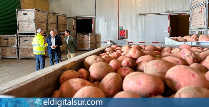 El consejero Valentín González visita el complejo agrícola de Benijos, en La Orotava
