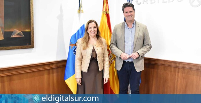 Rosa Dávila y Emilio Navarro durante la reunión de trabajo celebrada en el Cabildo de Tenerife