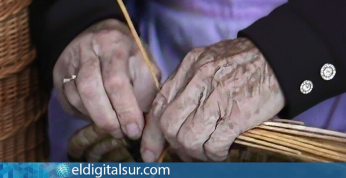Oficios tradicionales femeninos