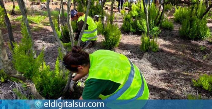 Actuación de mejora ambiental