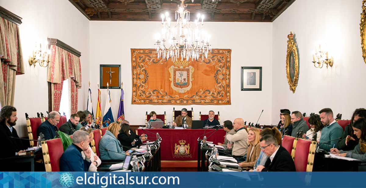 Pleno-Municipal-La-Laguna-130326 Pleno municipal