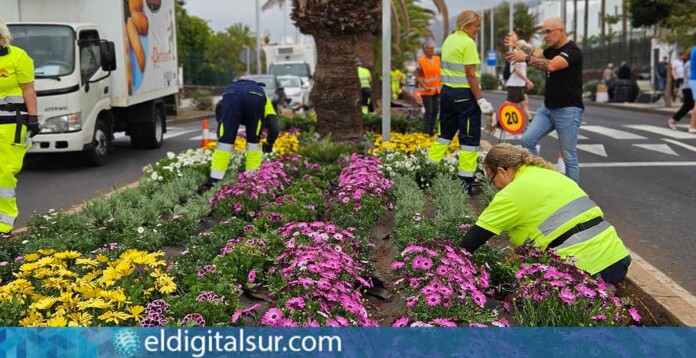 Trabajos-Jardines-Av.-de-Los-Pueblos-Adeje-110326 Reverdecimiento en la Avenida de los Pueblos
