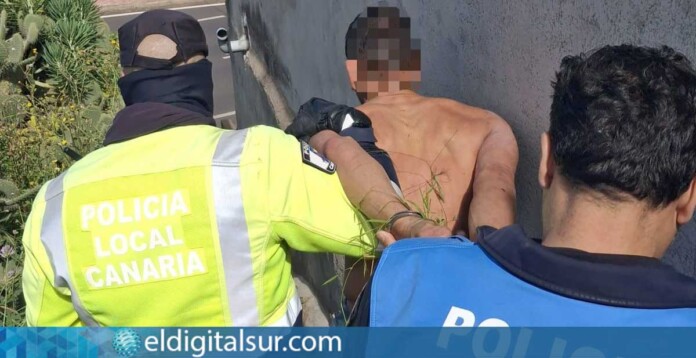 Momento de la detención del presunto autor de varios robos en viviendas y fincas de Tejina tras una persecución policial