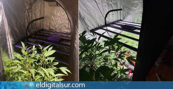 Vista del interior del local donde se realizaba el cultivo y venta de drogas en Tenerife Sur