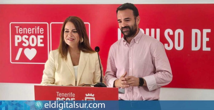 psoe-tenerife-100326