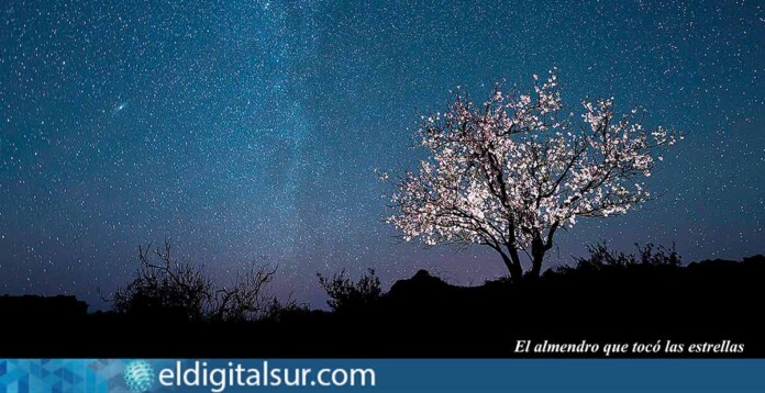 “El almendro que tocó las estrellas”, 1er Premio Fotografía Nocturna