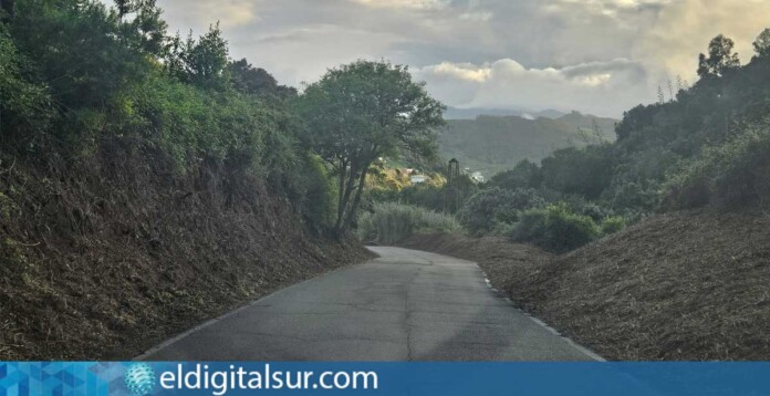 Carretera de acceso a Pedro Álvarez tras los trabajos de desbroce y limpieza ejecutados por el Ayuntamiento de Tegueste.