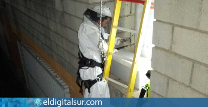 bomberos-abejas-070426