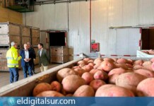 El consejero Valentín González informa de las ayudas del Cabildo de Tenerife para combatir la polilla guatemalteca de la papa