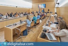 Pleno del Cabildo de Tenerife durante el Debate del Estado de la Isla