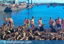 El Baño de las Cabras en el Muelle Pesquero de Puerto de la Cruz
