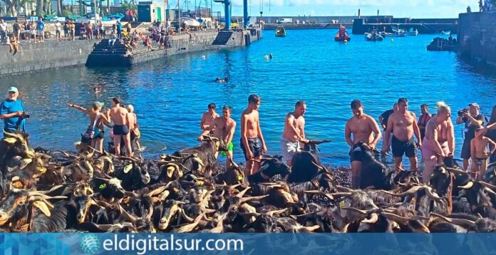 El Baño de las Cabras en el Muelle Pesquero de Puerto de la Cruz