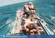 International Ocean Film Tour
