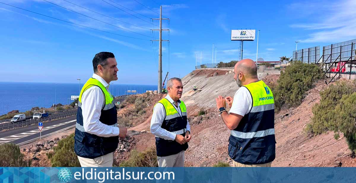 Visita-Obras-Mercatenerife-190626 El consejero Valentín González durante la visita a las obras de regeneración del talud de la TF1 en Mercatenerife