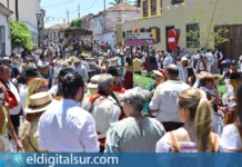 Miles de personas recorrieron este domingo las calles de Tacoronte durante la multitudinaria Romería de San Isidro