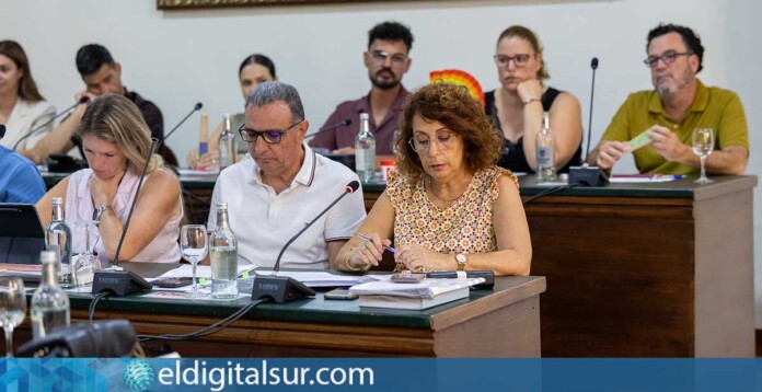 Pleno del Ayuntamiento de Adeje durante la aprobación del II Plan Municipal de Prevención de Adicciones