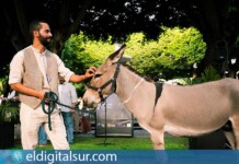 Tradicional Noche de los Burros
