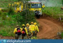 Profesionales y medios del Operativo Contraincendios 2026 durante el simulacro de incendio forestal en El Sauzal