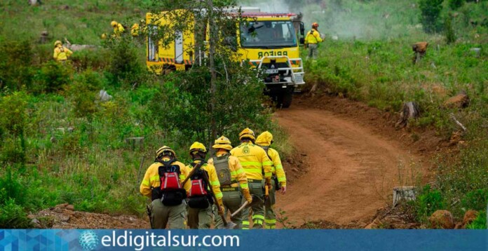 Profesionales y medios del Operativo Contraincendios 2026 durante el simulacro de incendio forestal en El Sauzal