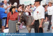 La XX Noche de los Burros llenó el casco histórico de La Laguna de tradición ganadera y folclore