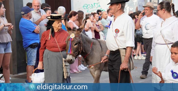 La XX Noche de los Burros llenó el casco histórico de La Laguna de tradición ganadera y folclore