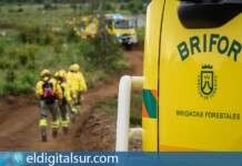 Efectivos de Brifor
