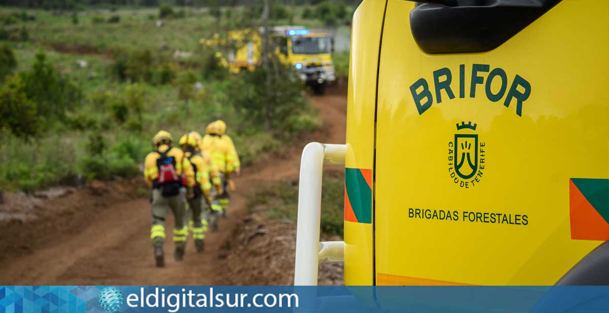 brifor-310726 Efectivos de Brifor