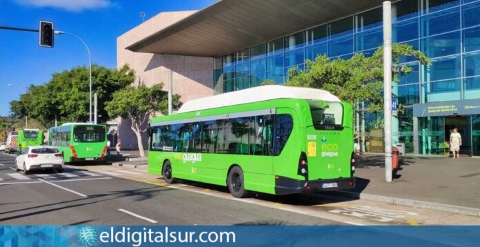 Una guagua del servicio urbano de Titsa