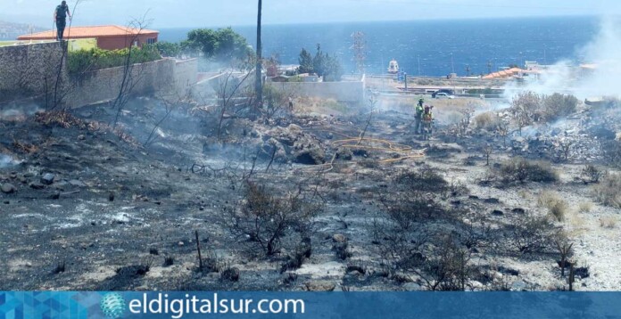 Efectivos de Bomberos de Tenerife durante las labores de extinción del incendio de rastrojos registrado en Candelaria