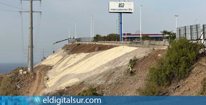 Vista del entorno de la TF-1 junto a Mercatenerife donde se desarrolla la actuación de restauración paisajística para recuperar los márgenes degradados de la autopista