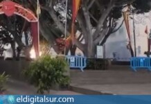 Captura del vídeo difundido por PACMA Canarias, en el que se muestran los momentos posteriores al lanzamiento de una traca durante la Entrega de Llaves de las Fiestas de San Pedro en Güímar