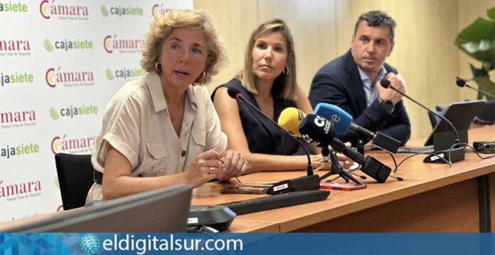 Boletín-de-Comercio-050826 De izquierda a derecha: Lola Pérez, Victoria González y Luis Díaz Dorta, durante la presentación del Boletín de Coyuntura del Comercio del segundo trimestre de 2026