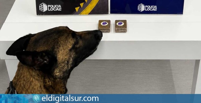 El perro de la Unidad Canina de la Policía Local de Santa Cruz de Tenerife localizó el bolso oculto en el vehículo que contenía 94,9 gramos de hachís intervenidos durante la actuación policial / Policía Local de Santa Cruz de Tenerife
