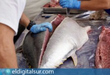 Feria del Pescado de Los Cristianos