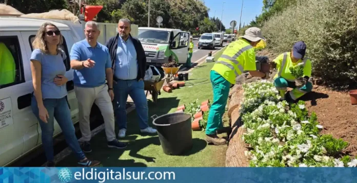 plantas plaza adelantados 240826 Zinnias plantadas en la plaza del Adelantado de La Laguna