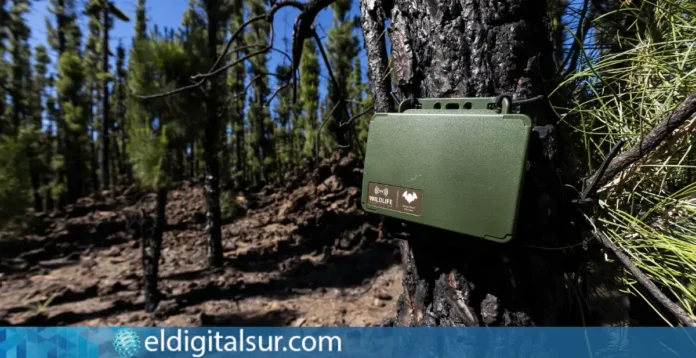 108 cajas refugio ayudan a recuperar los murciélagos en la Corona Forestal tras el incendio de 2023