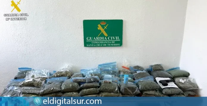 Recaudación de la operación Jardín Sol de la Guardia Civil en Tacoronte